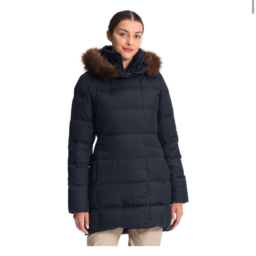 The North Face New Dealio Down Parka Jacket